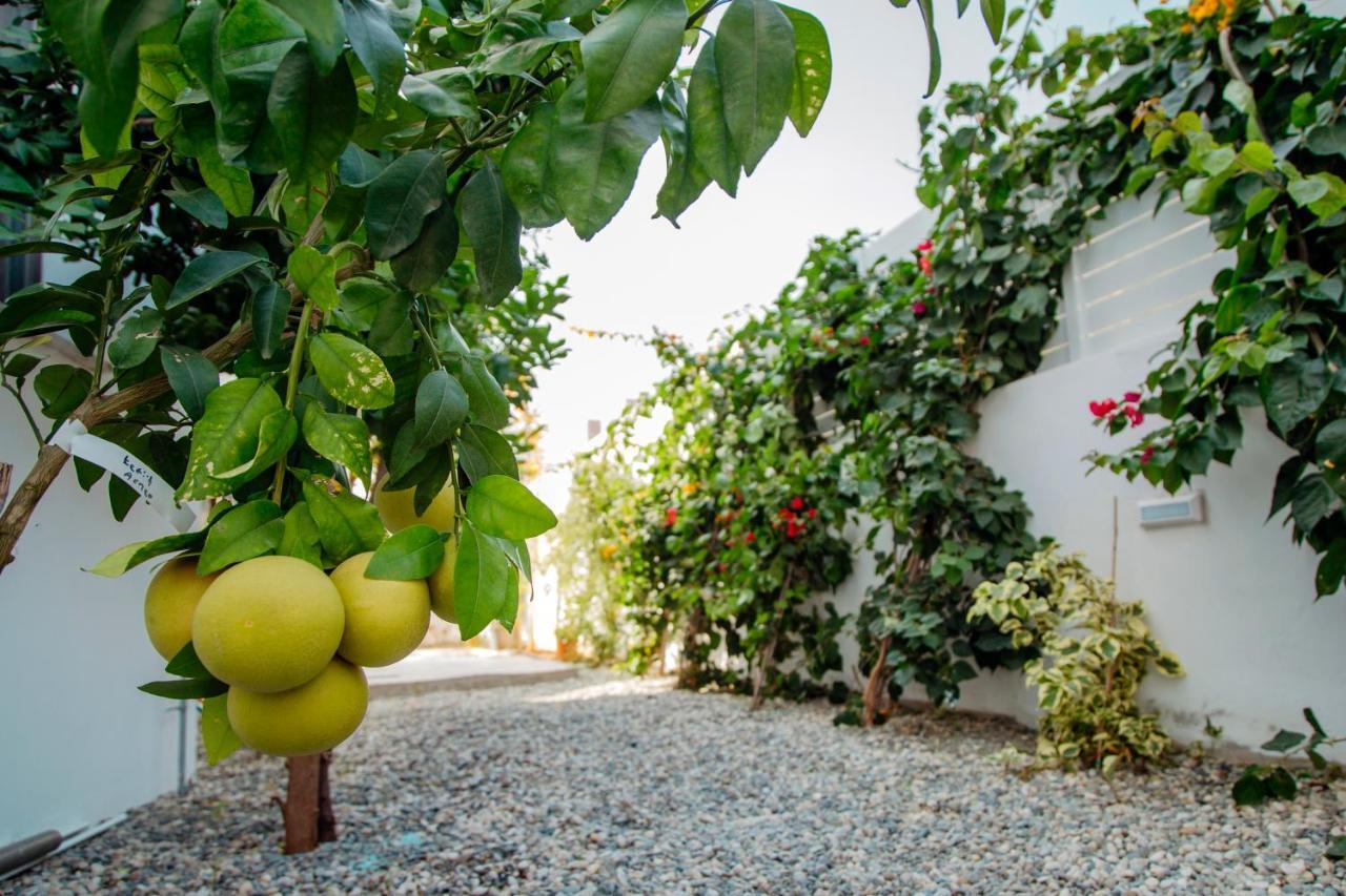 Island Home Seaside Villa Paralimni Exterior foto